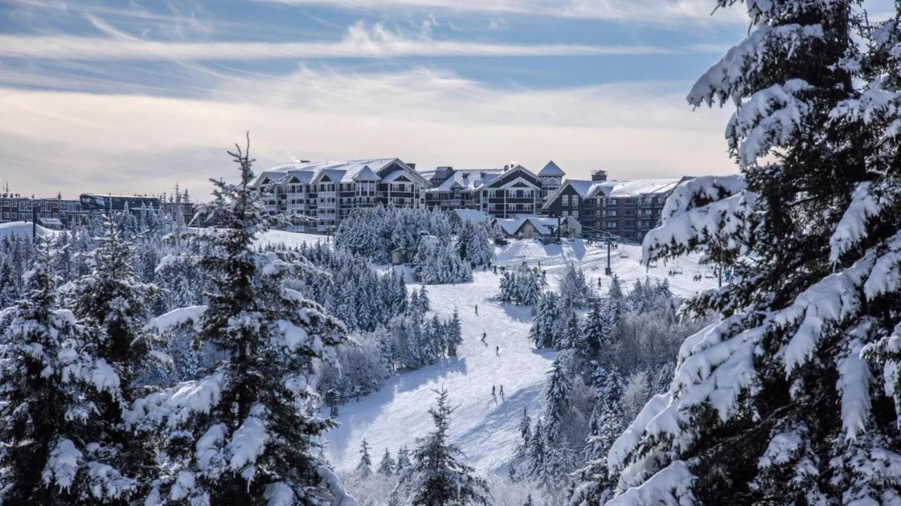 Snowshoe Ski-In & Ski-Out At Silvercreek Resort - Family Friendly, Jacuzzi, Hot Tub, Mountain Views 外观 照片