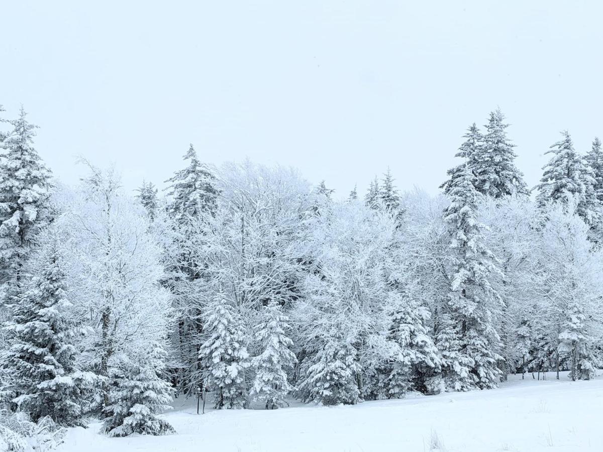 Snowshoe Ski-In & Ski-Out At Silvercreek Resort - Family Friendly, Jacuzzi, Hot Tub, Mountain Views 外观 照片